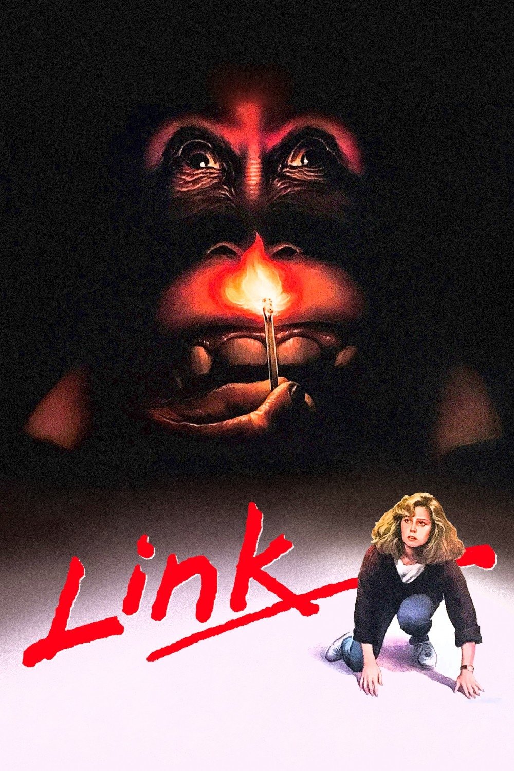 Постер Link